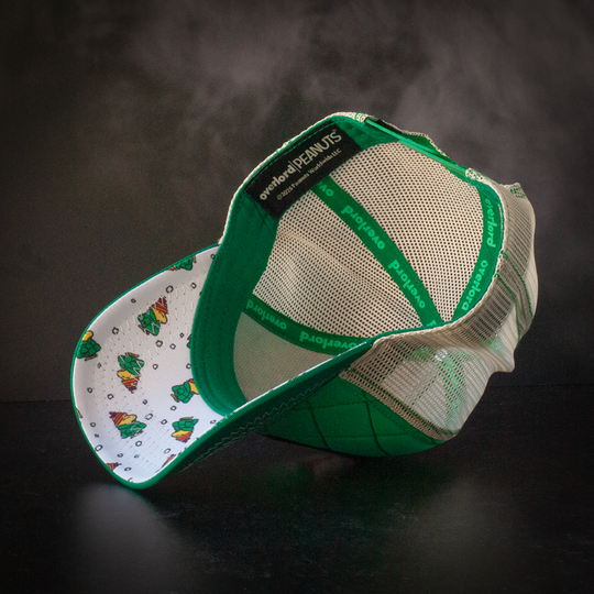 Inside view of quilted green trucker cap hat with Peanuts Woodstock in green jacket printed fabric underbrim