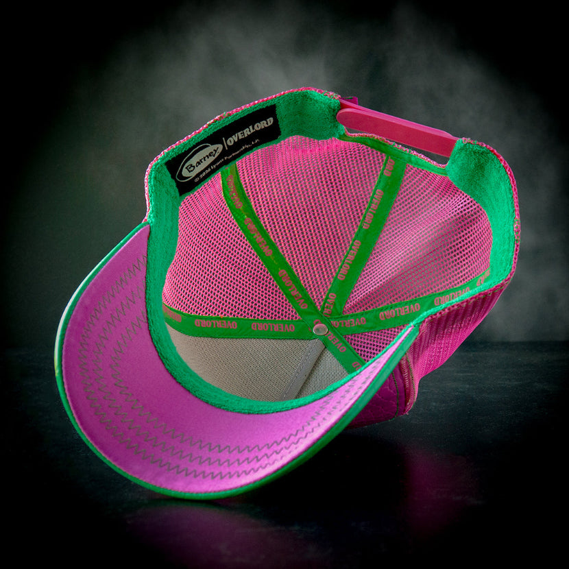 OVERLORD X Barney & Friends - Barney