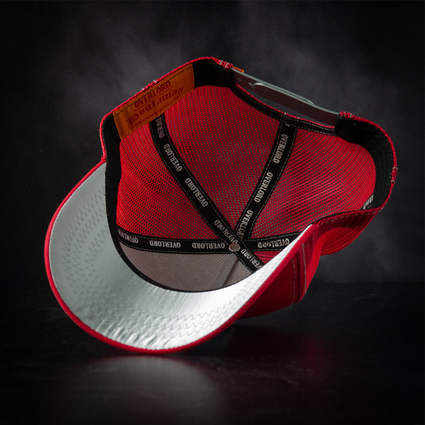 OVERLORD X Dogtanian - Dogtanian