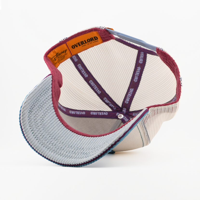 Baseball cap with mesh back and colored brim on a white background