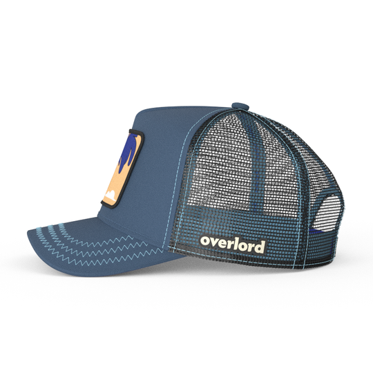 Blue OVERLORD X Looney Tunes smiling Road Runner trucker baseball cap hat with black mesh. PVC Overlord logo.