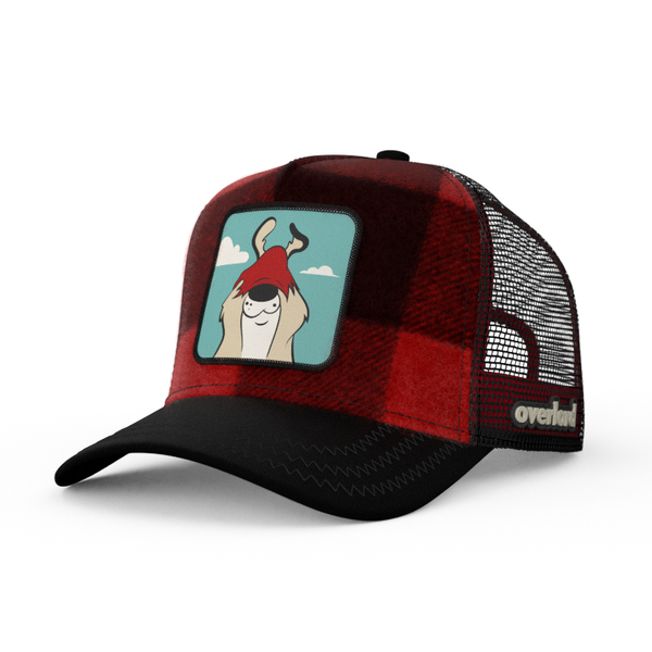 帽子 SOOR PLOOM Canary Cap Chutney M 帽子 SOOR PLOOM Canary Cap Chutney M The Rancher Cap