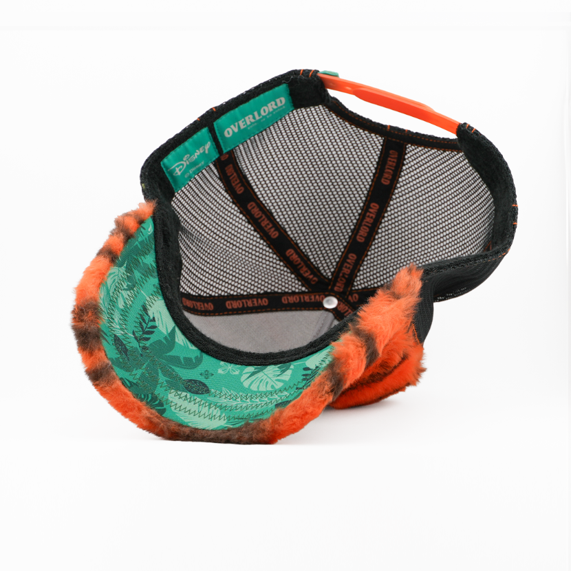Colorful cap with fur trim on a white background