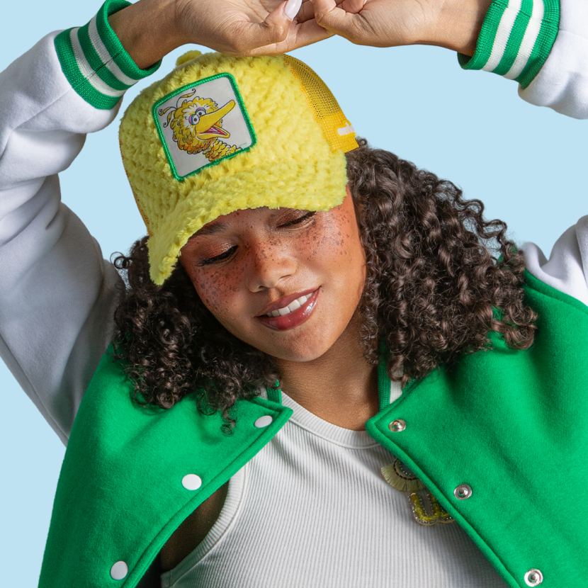 OVERLORD X Sesame Street: Big Bird